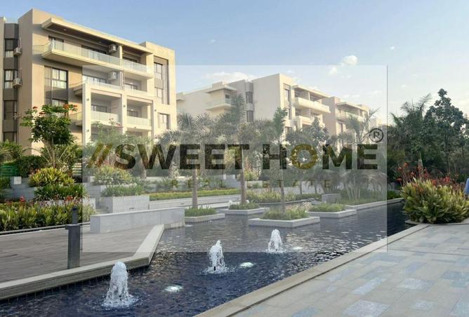 8041557 - Property Image 3