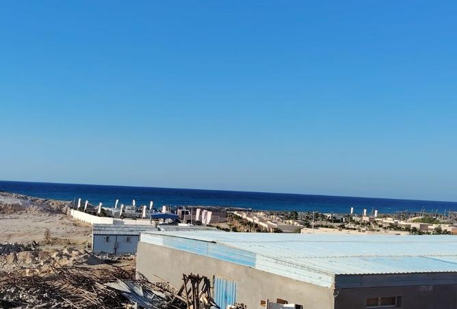 7882145 - صورة العقار 3