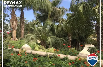 شقة - 3 غرف نوم - 2 حمامات للايجار في سيتي فيو - طريق مصر اسكندرية الصحراوي - مدينة 6 أكتوبر - الجيزة
