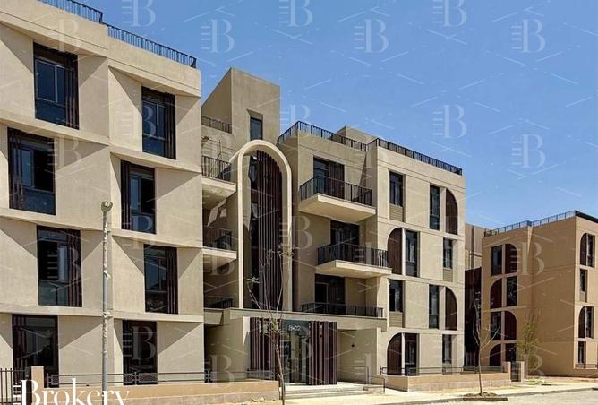 8439293 - Property Image 3