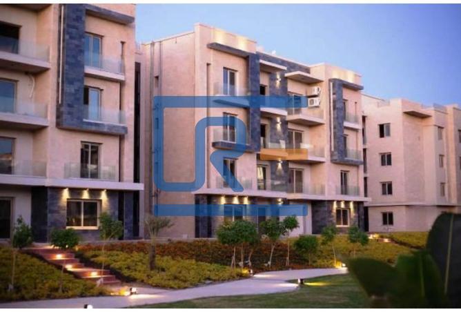 8269639 - Property Image 3