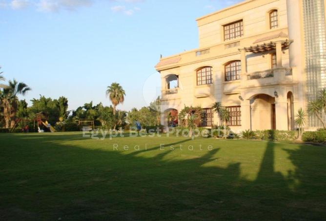 8030655 - Property Image 2