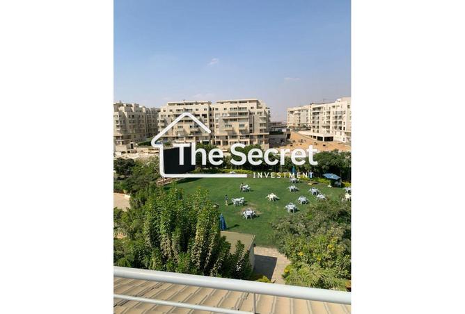 8496186 - Property Image 2