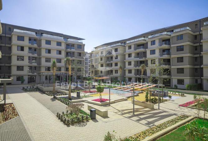 7984073 - Property Image 3