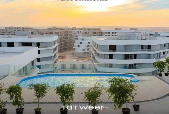 7930159 - Property Image 3