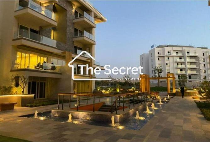 8181151 - Property Image 3