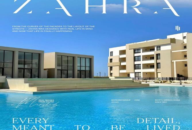 8236668 - Property Image 3