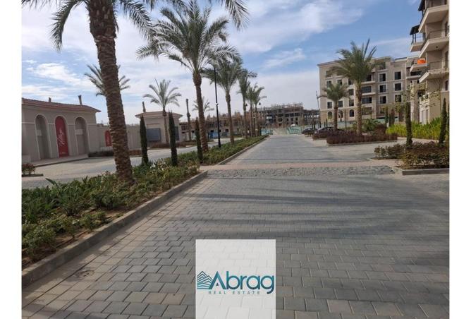 8340877 - Property Image 3