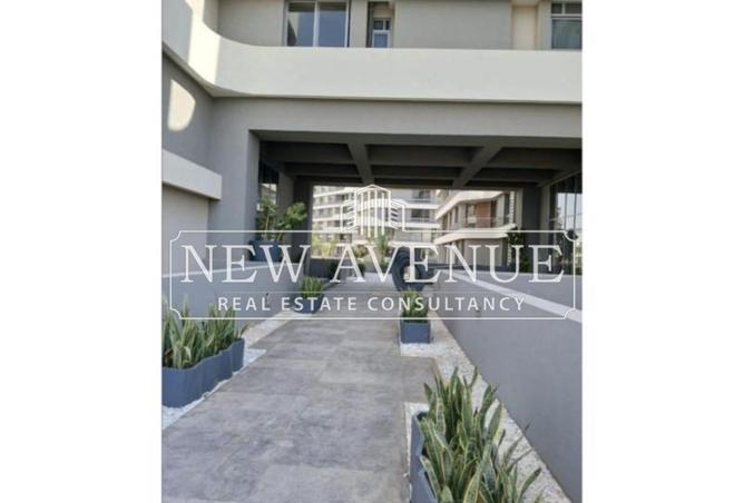 8401150 - Property Image 3