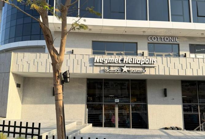 8119683 - Property Image 3