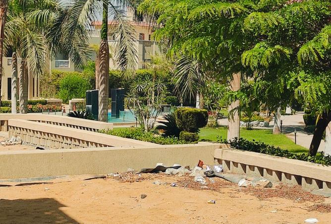 7997816 - صورة العقار 3