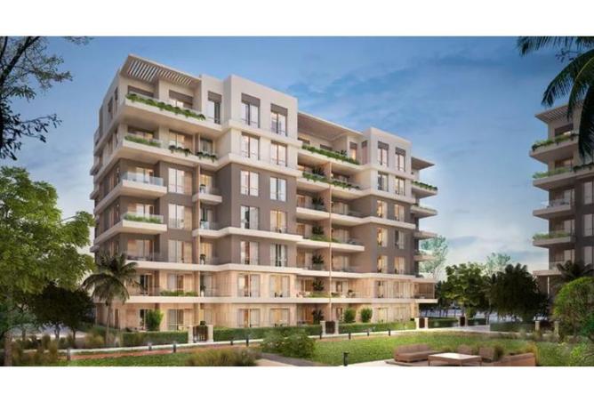 8429103 - Property Image 2