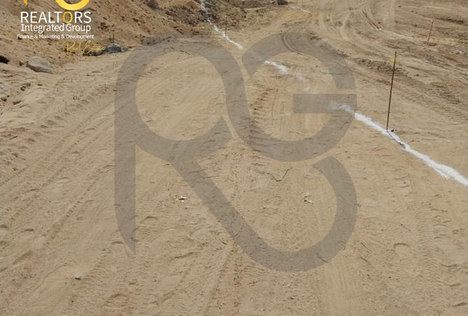 8470005 - صورة العقار 2