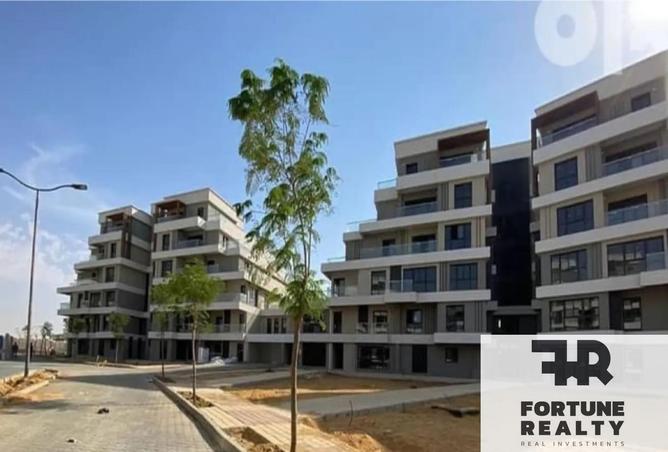 8355939 - Property Image 2