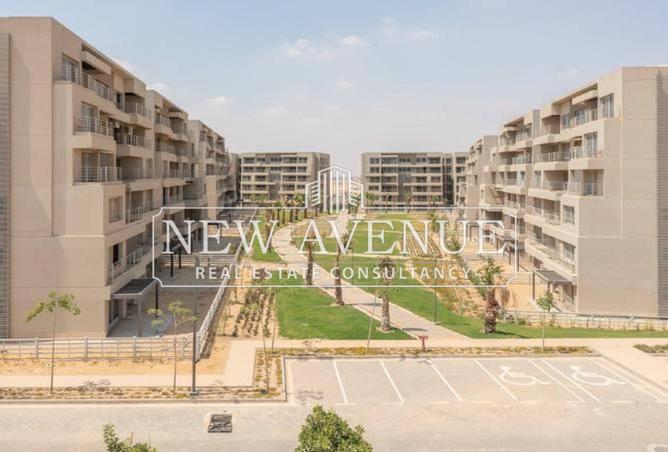8068963 - Property Image 3
