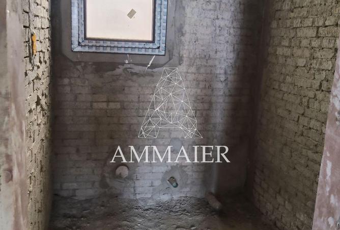 8239590 - صورة العقار 3