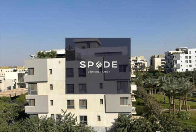 8487535 - Property Image 3