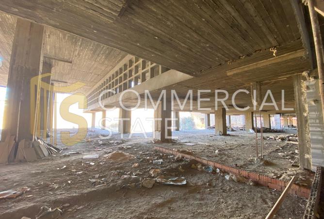 7999186 - صورة العقار 2