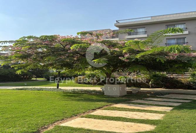 8341657 - Property Image 2