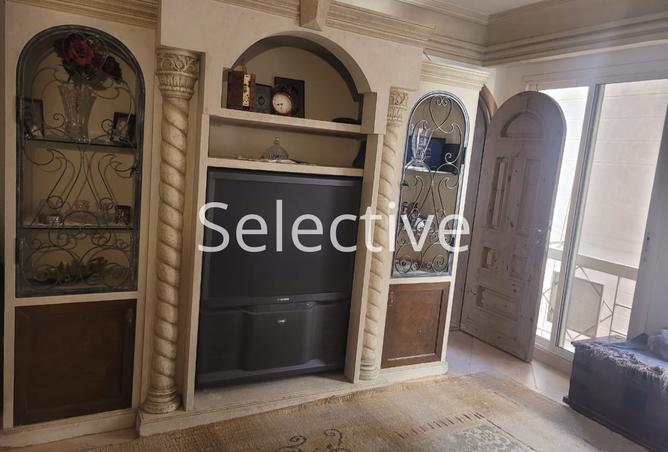 8226395 - Property Image 2