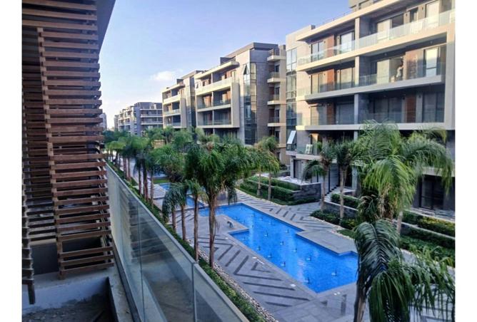 8241628 - Property Image 3