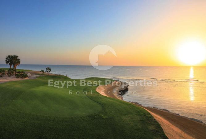 7975273 - Property Image 3