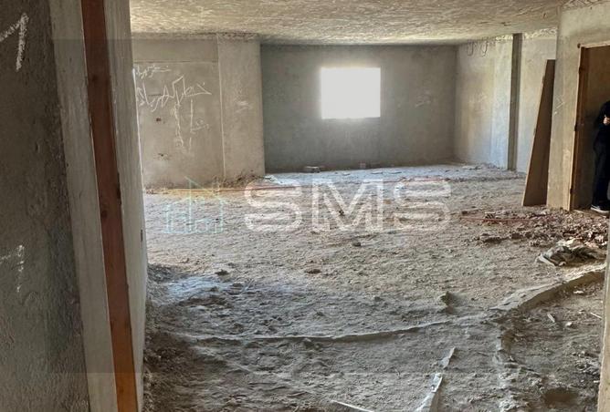 8073831 - Property Image 3