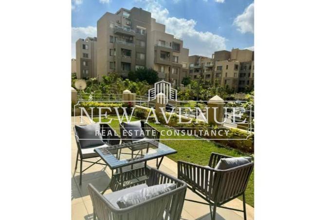7919757 - Property Image 3