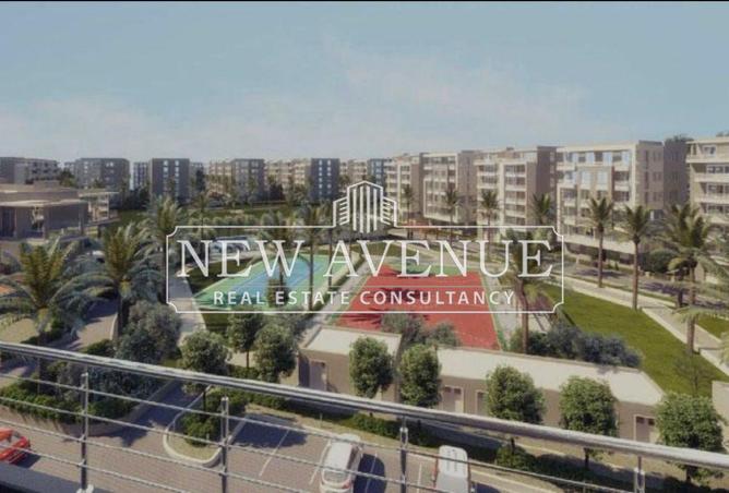 8205223 - Property Image 3