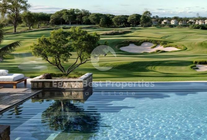 8427134 - Property Image 3