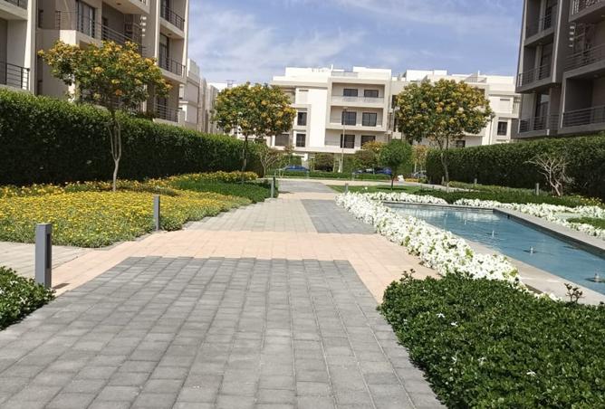 8400247 - صورة العقار 3