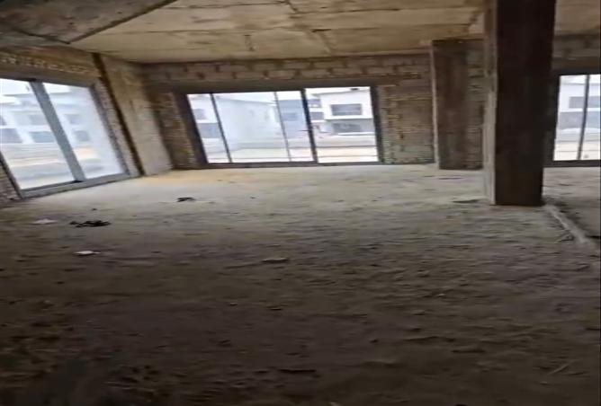 8004214 - Property Image 3