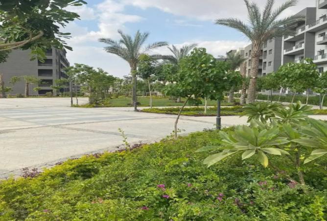 8548025 - Property Image 3