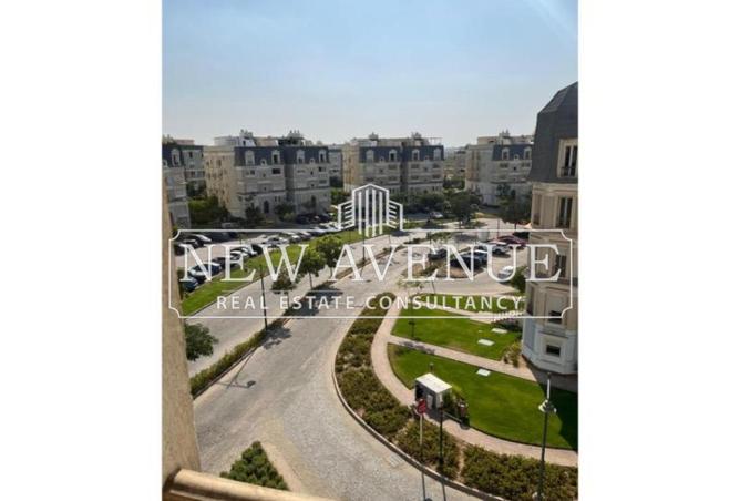 8250331 - Property Image 3