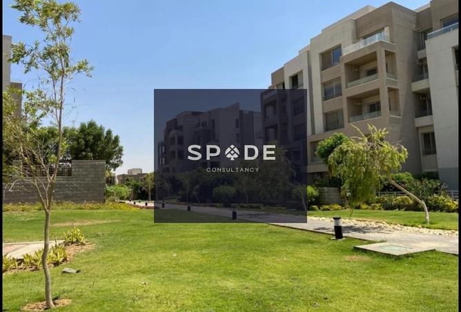8035391 - صورة العقار 2