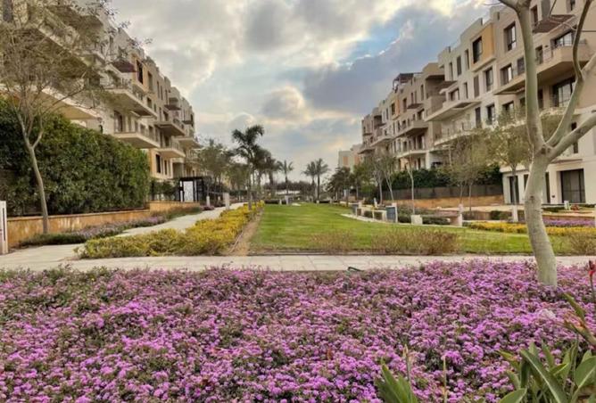 8357507 - صورة العقار 3