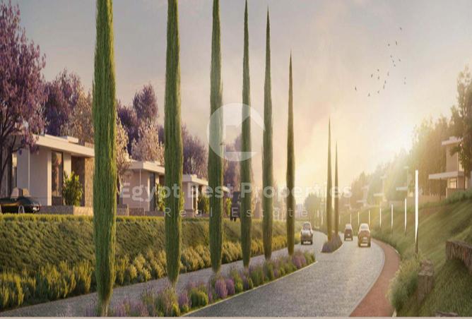 8202441 - Property Image 3