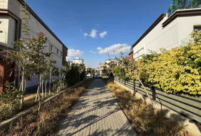 8326575 - Property Image 3