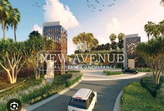 8074620 - Property Image 3