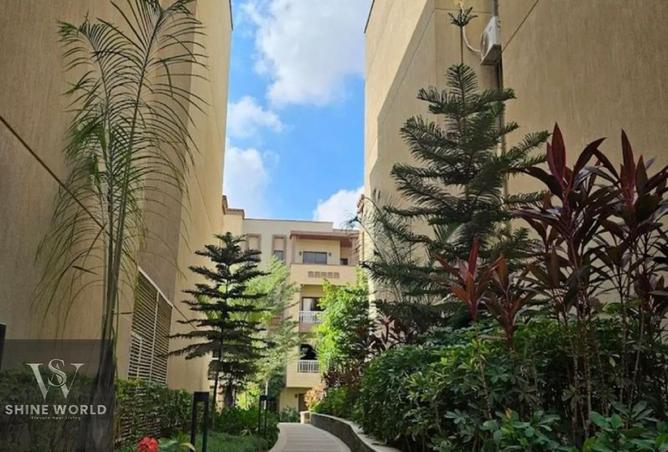 7870888 - صورة العقار 3