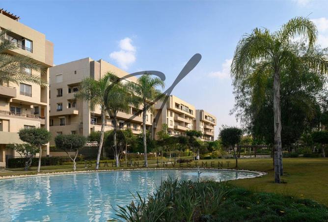 8235904 - Property Image 2