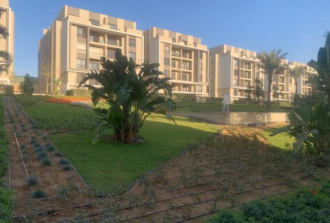 8485034 - صورة العقار 3