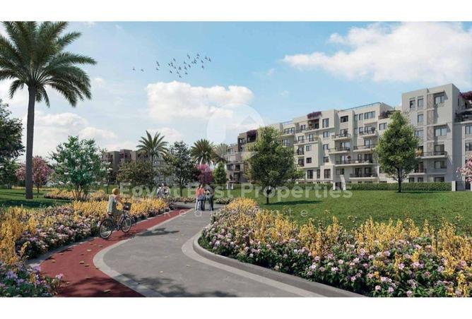 8433577 - Property Image 3