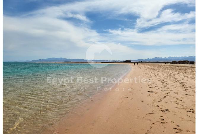 7984126 - Property Image 3
