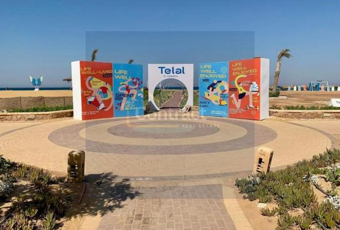 7842493 - صورة العقار 3