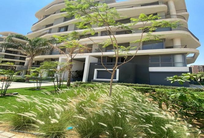 8280226 - Property Image 3