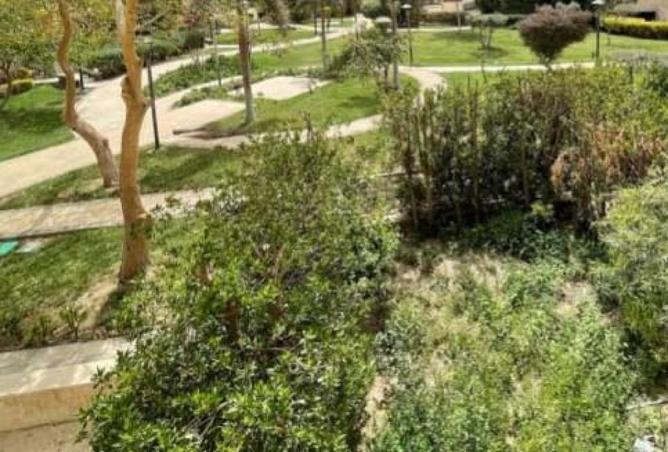 8356941 - صورة العقار 2