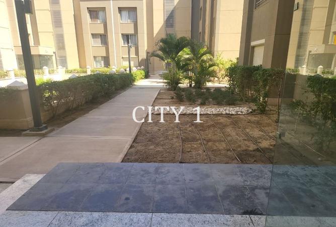 7972144 - صورة العقار 3