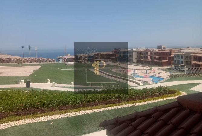 7948337 - صورة العقار 3