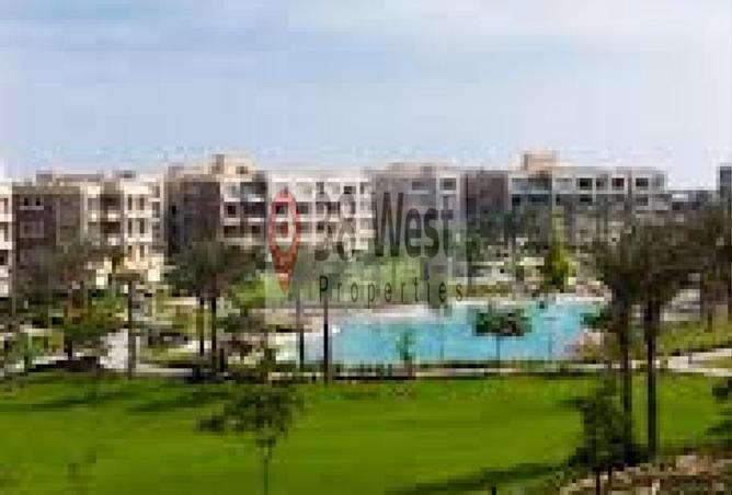 8165099 - Property Image 3